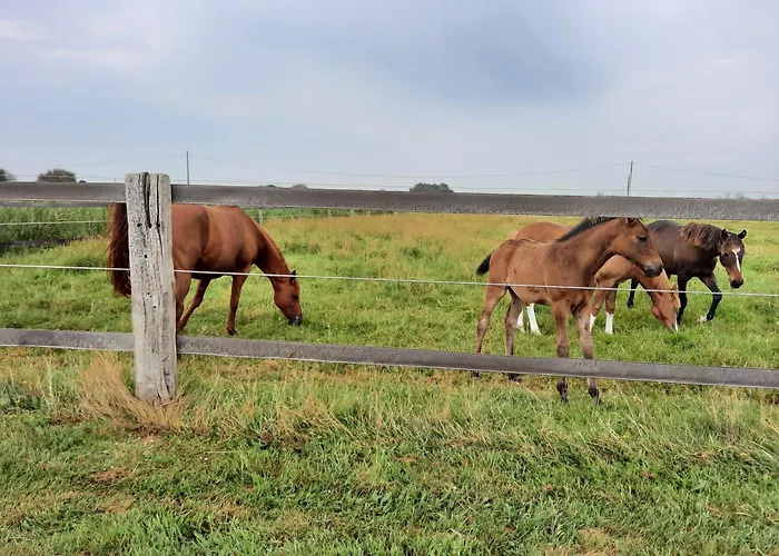 La Pecherie D'utah Semesterbostad